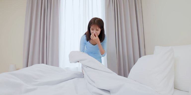 Acaro da letto: cos'è e come eliminarlo